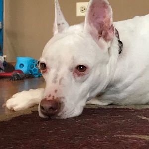 Meet your Posher, Beth